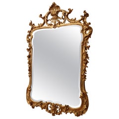 Regency-style Rocaille Gilded Mirror