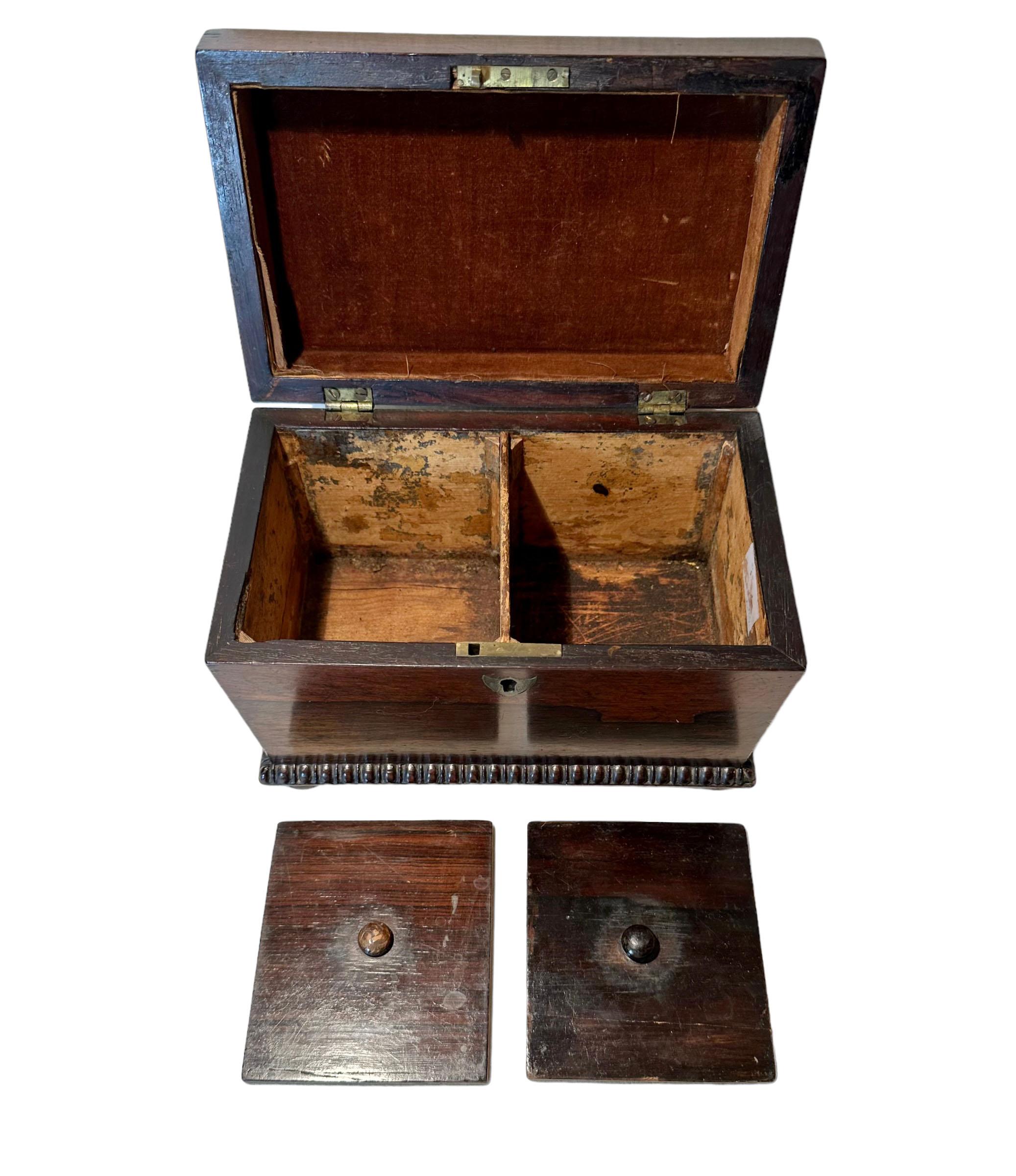 Regency Tea Caddy For Sale 4