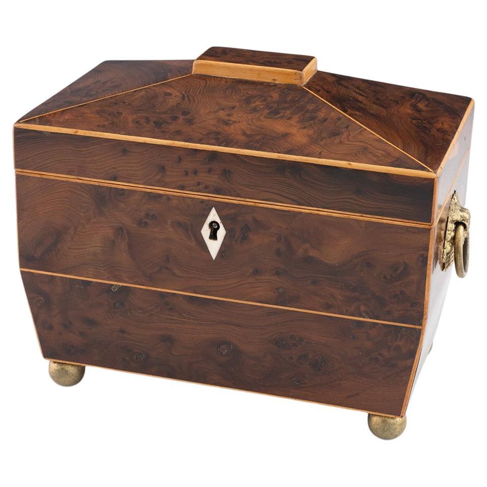 Regency Tea Caddy of Sarcophagus Form Burr Yew c1820