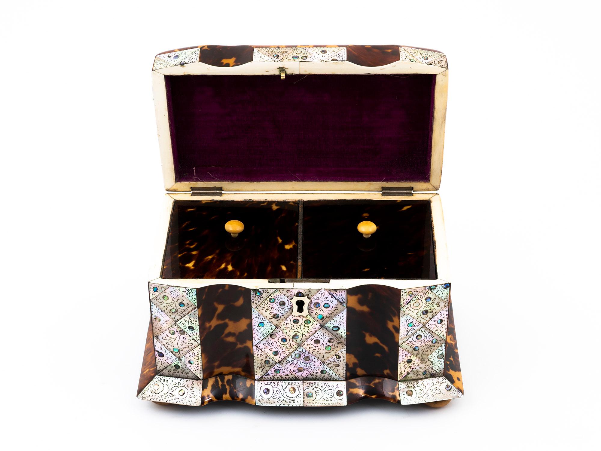Regency Tortoiseshell and Mother of Pearl Serpentine Tea Caddy In Good Condition For Sale In Northampton, GB