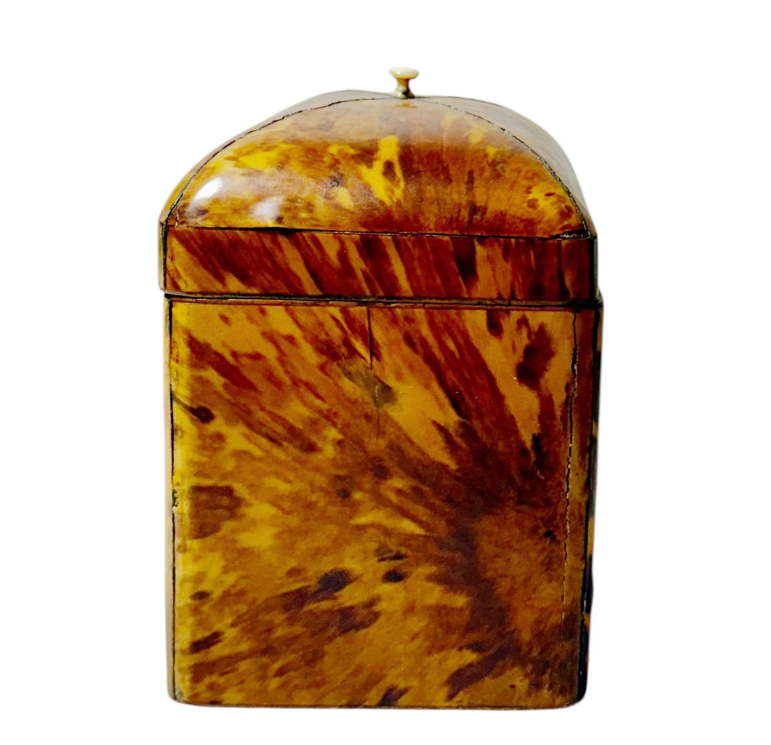 Tortis Shell Box Regency Tortoiseshell Box With Sterling Silver Details For Sale at 1stDibs