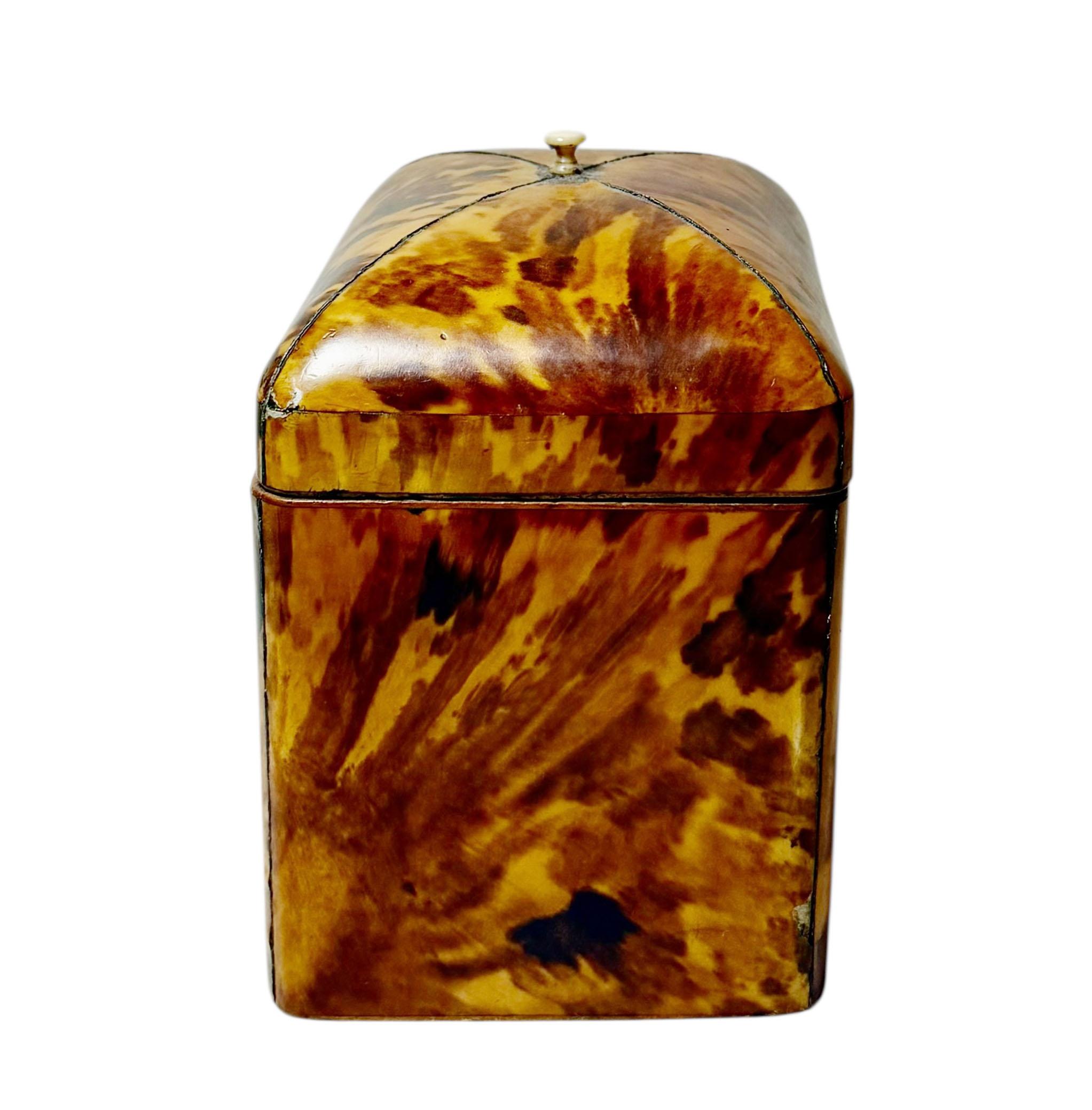 Tortis Shell Box Regency Tortoiseshell Box With Sterling Silver Details For Sale at 1stDibs