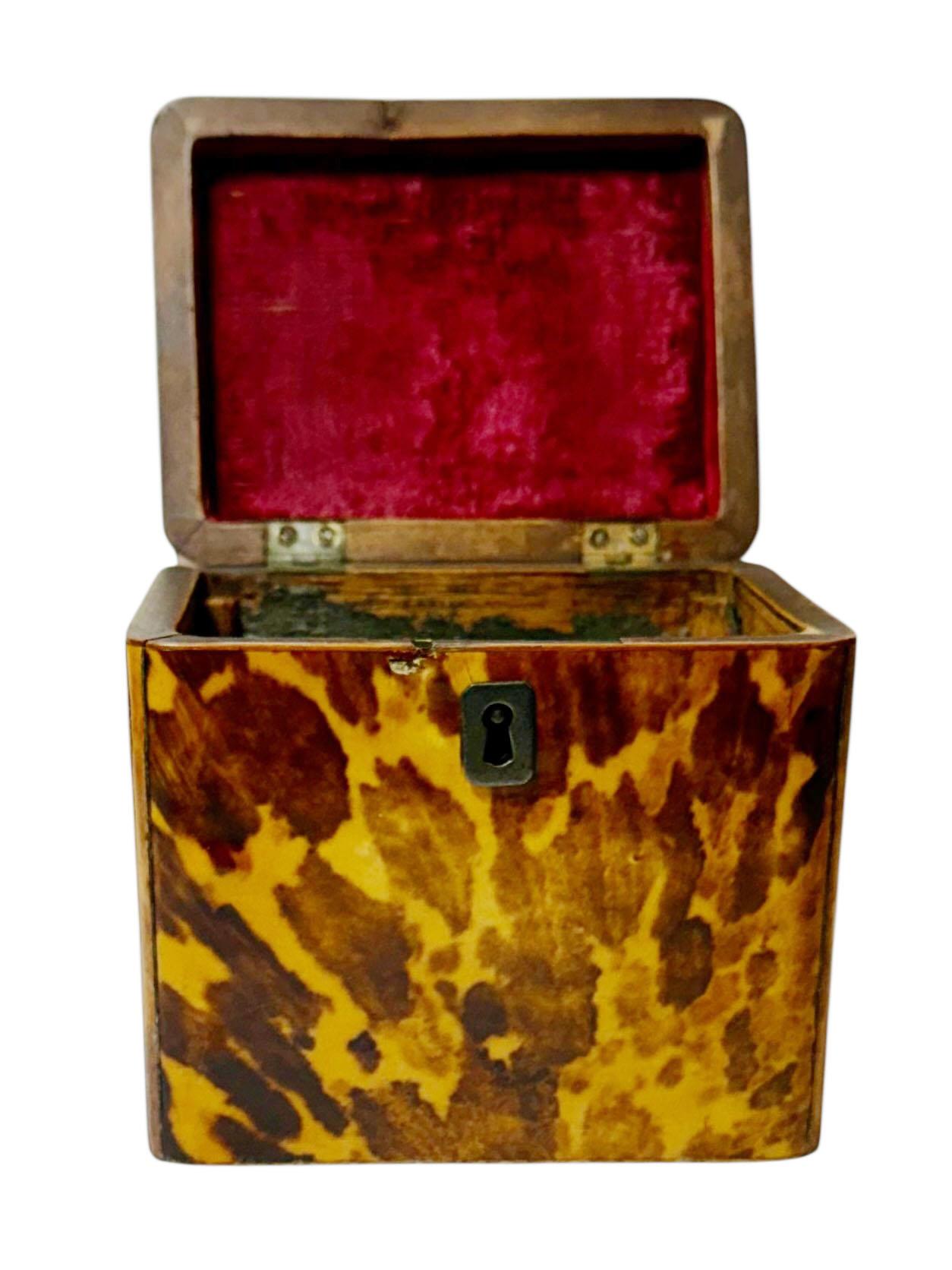 Tortis Shell Box Regency Tortoiseshell Box With Sterling Silver Details For Sale at 1stDibs
