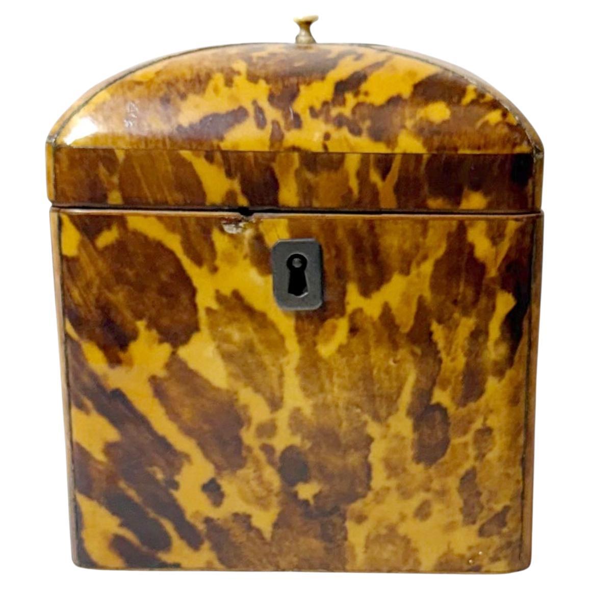 Regency Tortoiseshell Box With Sterling Silver Details