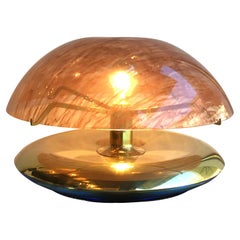 Reggiani “Medusa” Table Lamp Brass Perspex, 1970, Italy