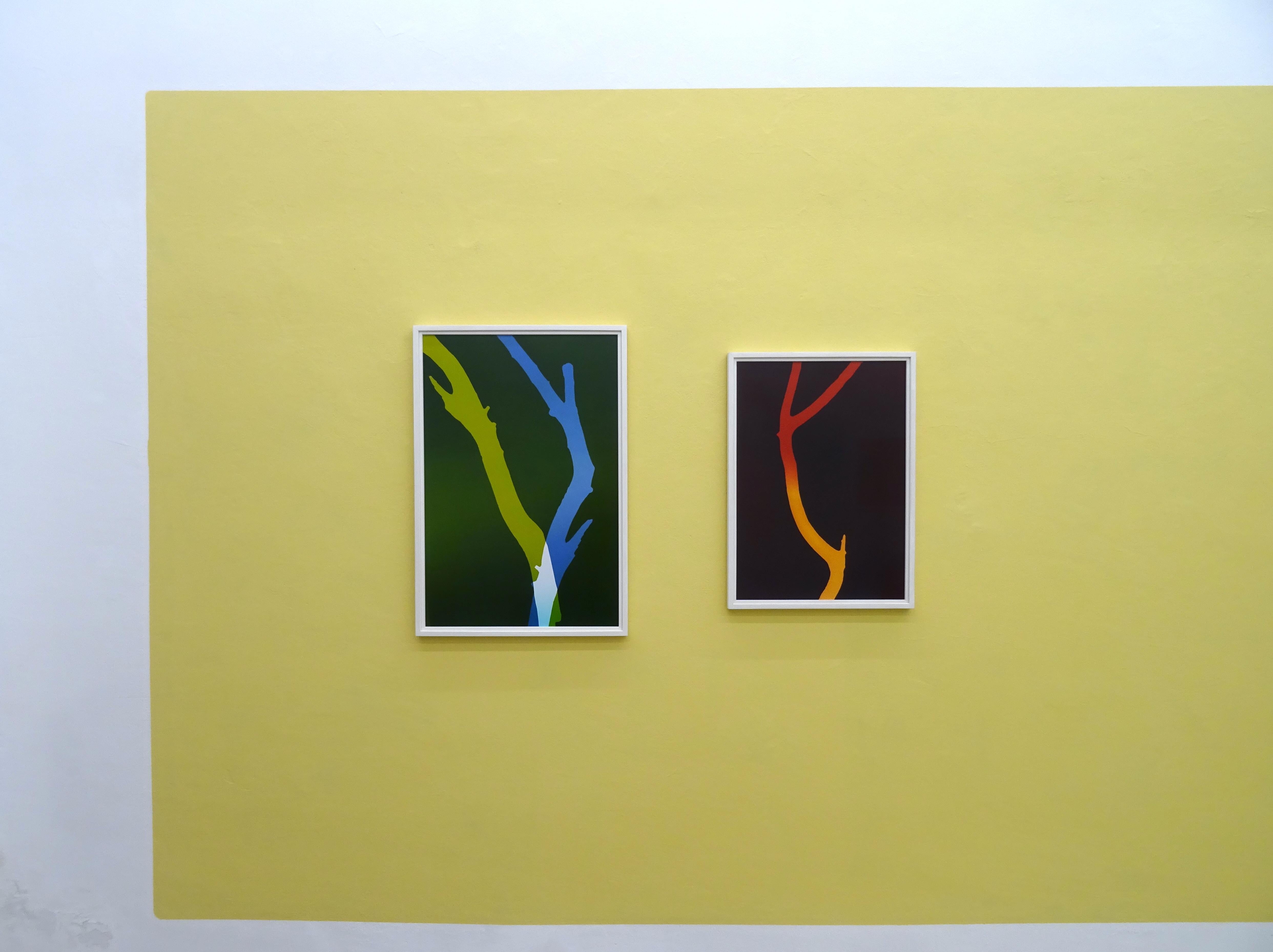 Trees (Driftwood, Nr. 1) - Red and Yellow Nature Branch Photogram - Contemporary Photograph by Regina Hügli