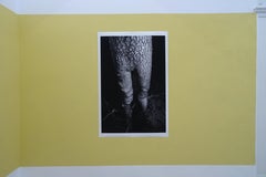 Trees (Legs) - Black and White Uncanny Nature Photography