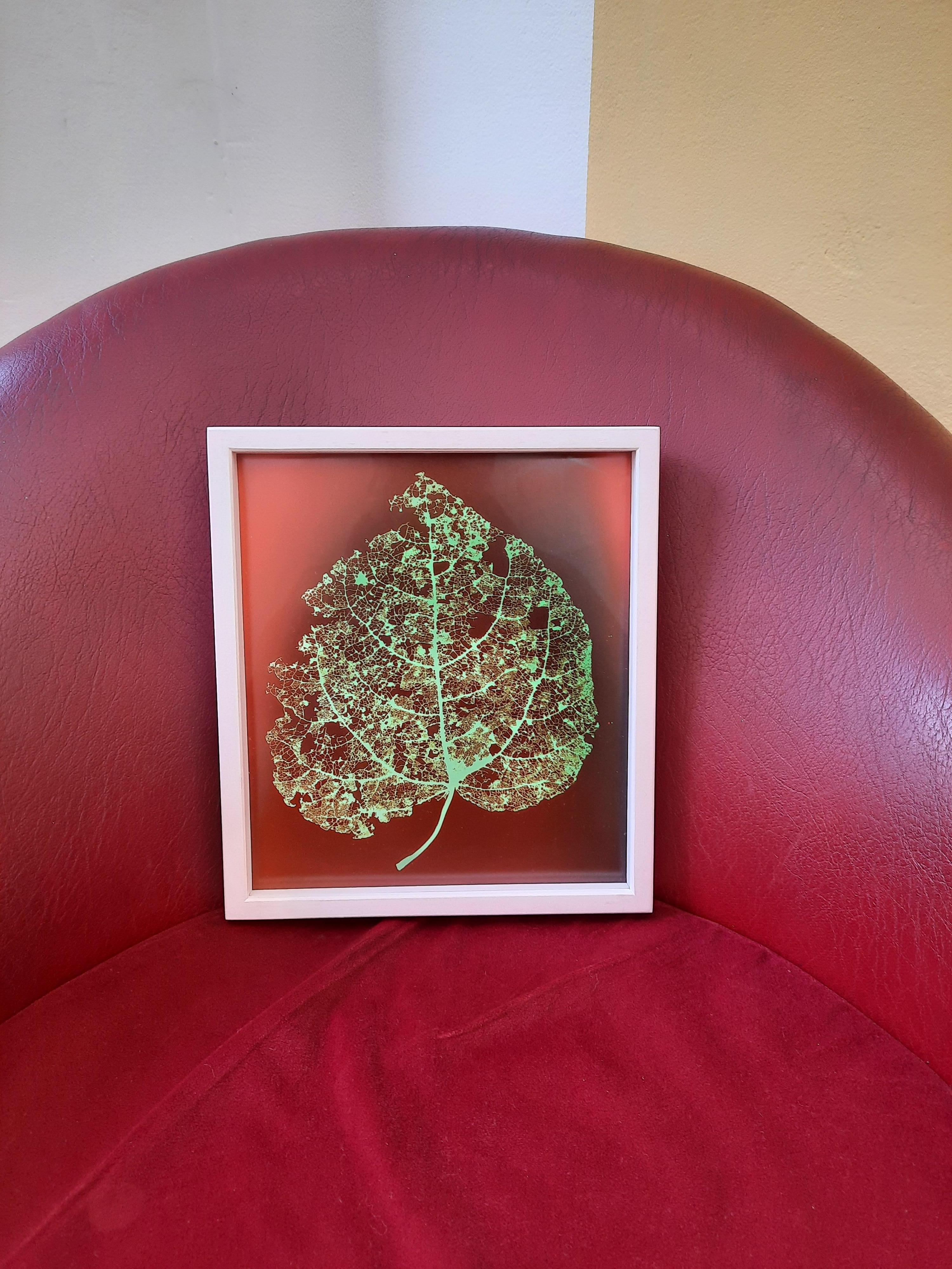 Trees (Nr. 20/4) - Red and Green Leaf Photogram
2022
Photogram, framed
25 x 22 cm
Unique copy, signed

The photogram series “Trees” by Regina Hügli focuses on the phenomenon of ramification, in other words, the way a tree limb forks into two