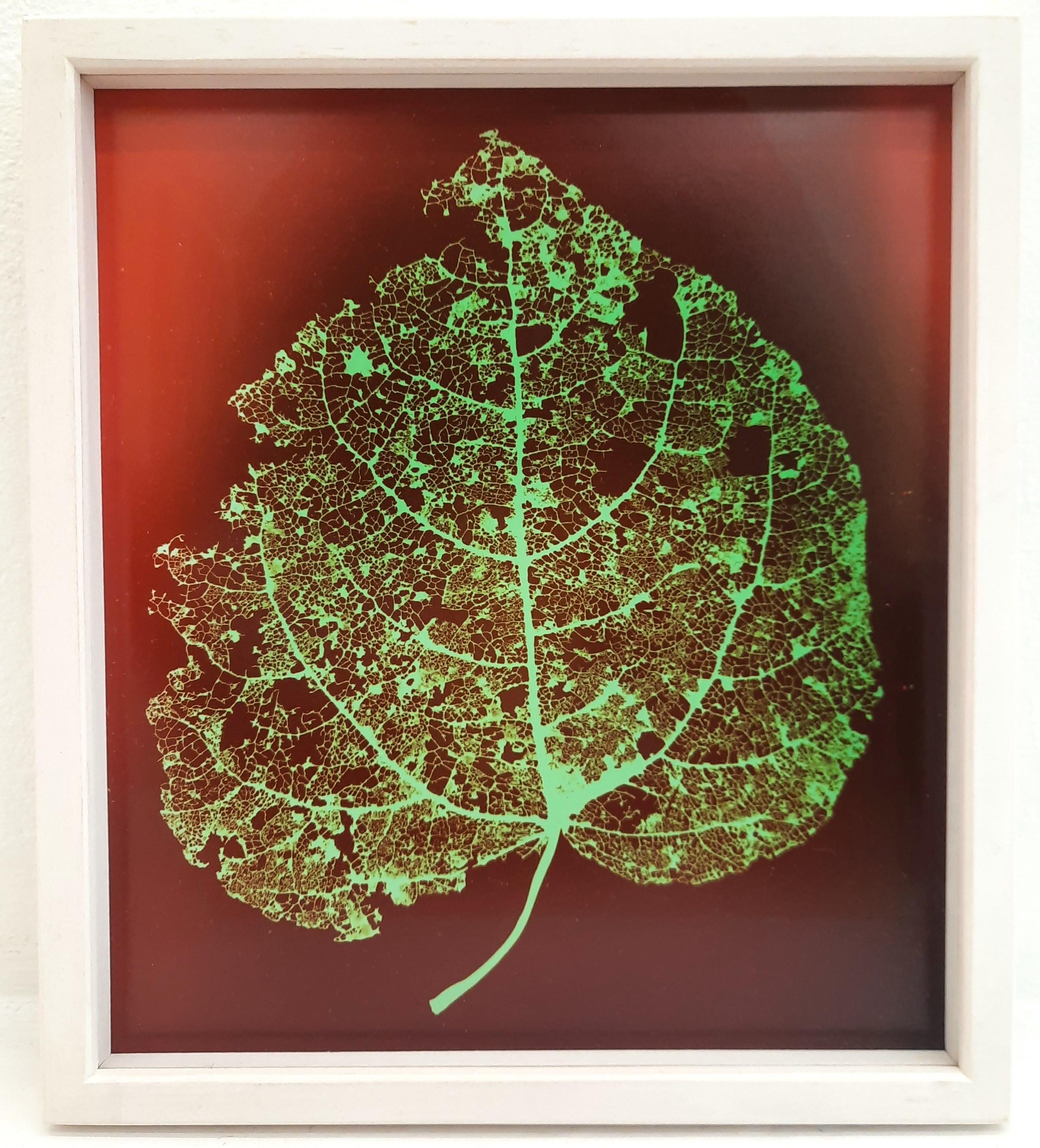 Regina Hügli Abstract Photograph - Trees (Nr. 20/4) - Contemporary Red and Green Leaf Photogram