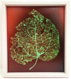 Bäume (Nr. 20/4) - Zeitgenössisches Fotogramm mit roten und grünen Blättern