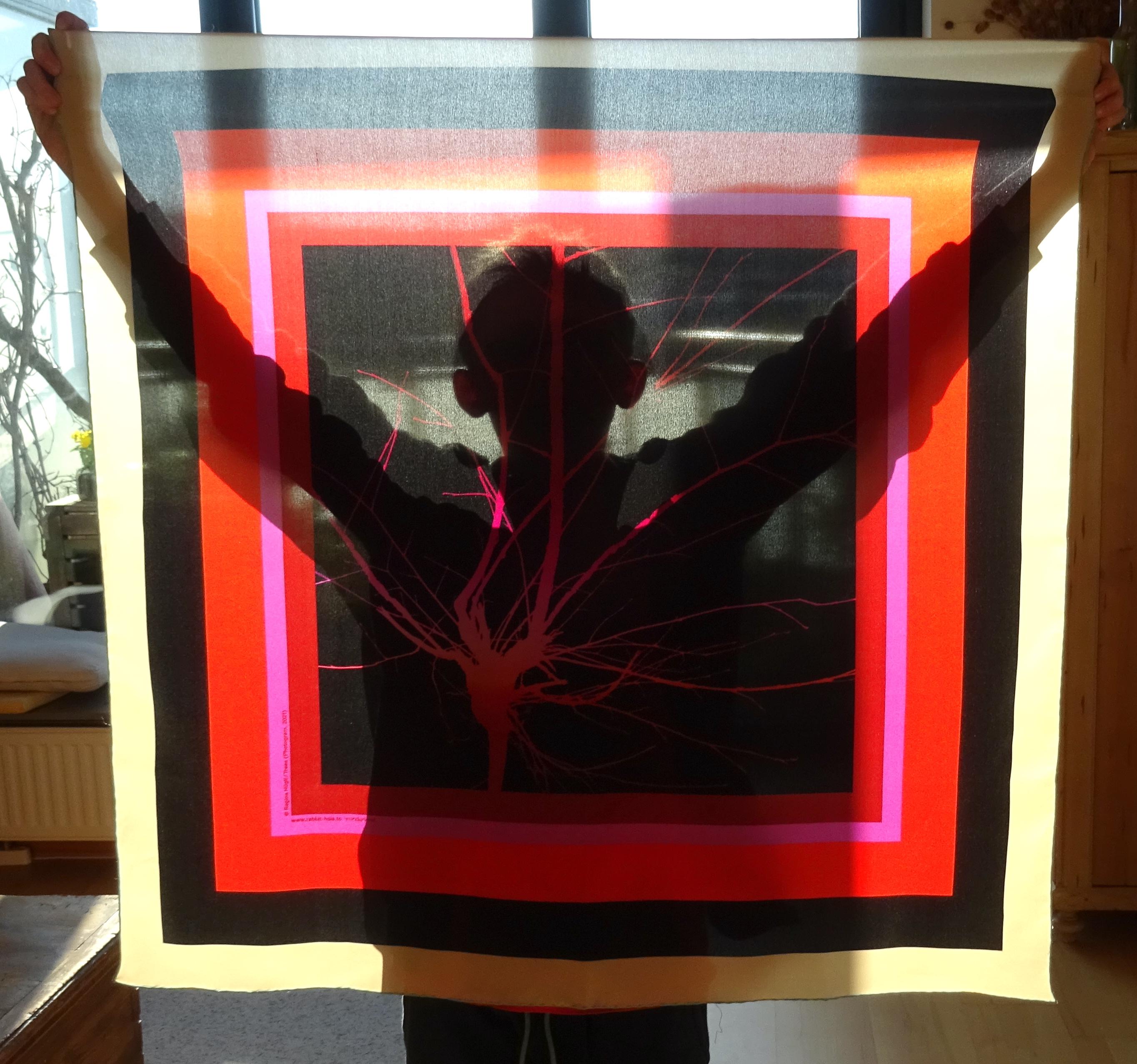 Trees (Nr. 5, Cornel) - Black Purple Red Silk Scarf - Contemporary Photograph by Regina Hügli