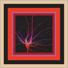 Trees (Nr. 5, Cornell) - Foulard en soie noir violet rouge