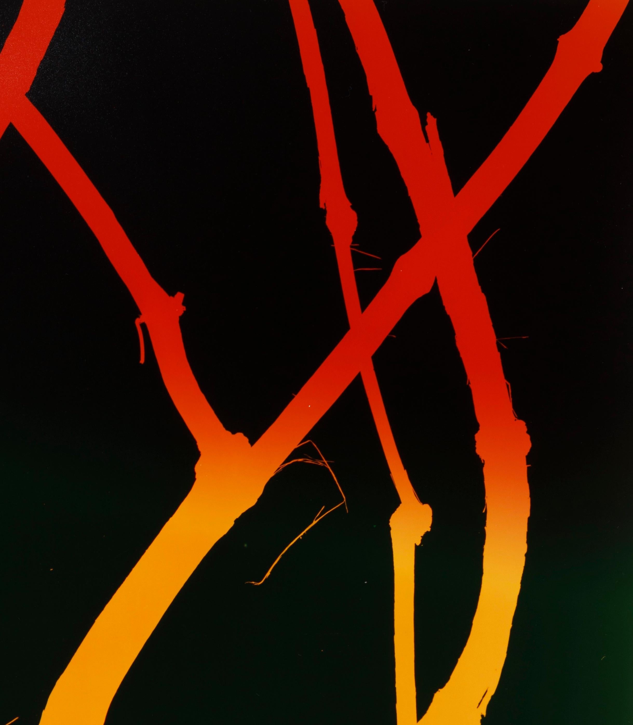 Bäume (Nr. 6, Clematis) - Grün Gelb Rot Nature Fotogramm – Photograph von Regina Hügli
