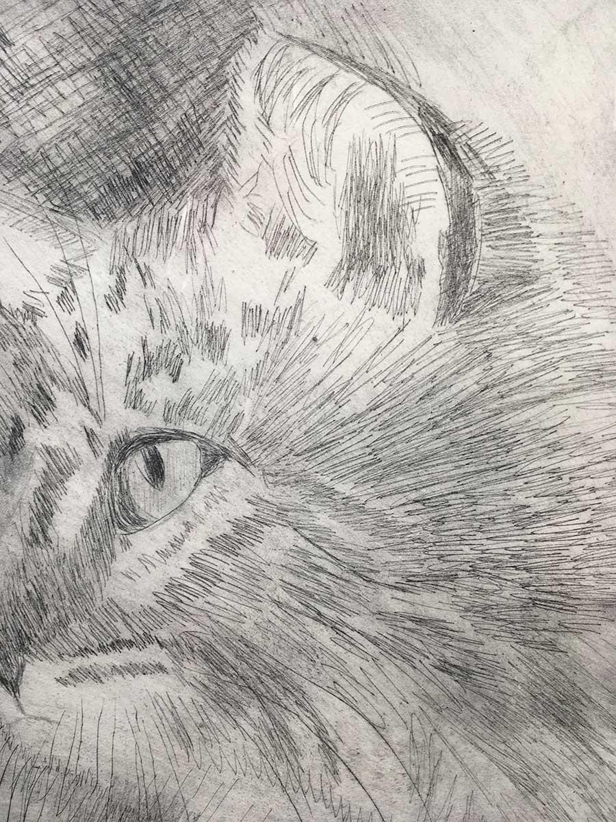 'Cat #2', by Regina Murphy, Drypoint Etching For Sale 2