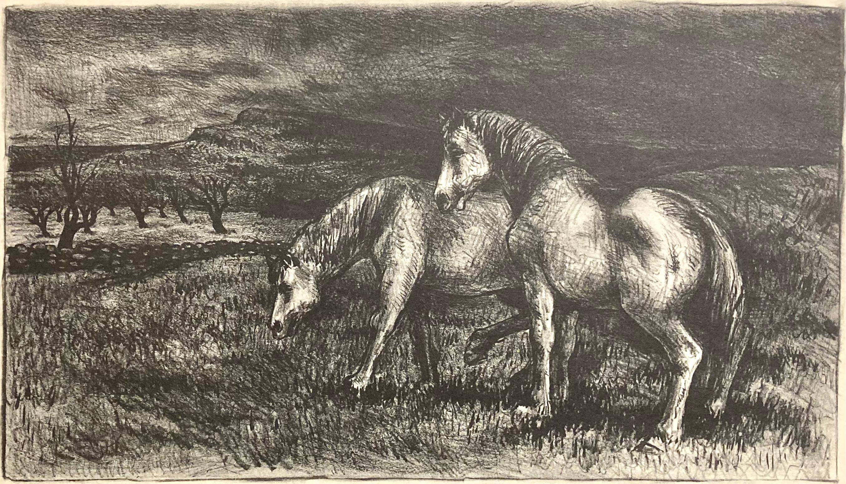 Reginald Wilson, Caballos