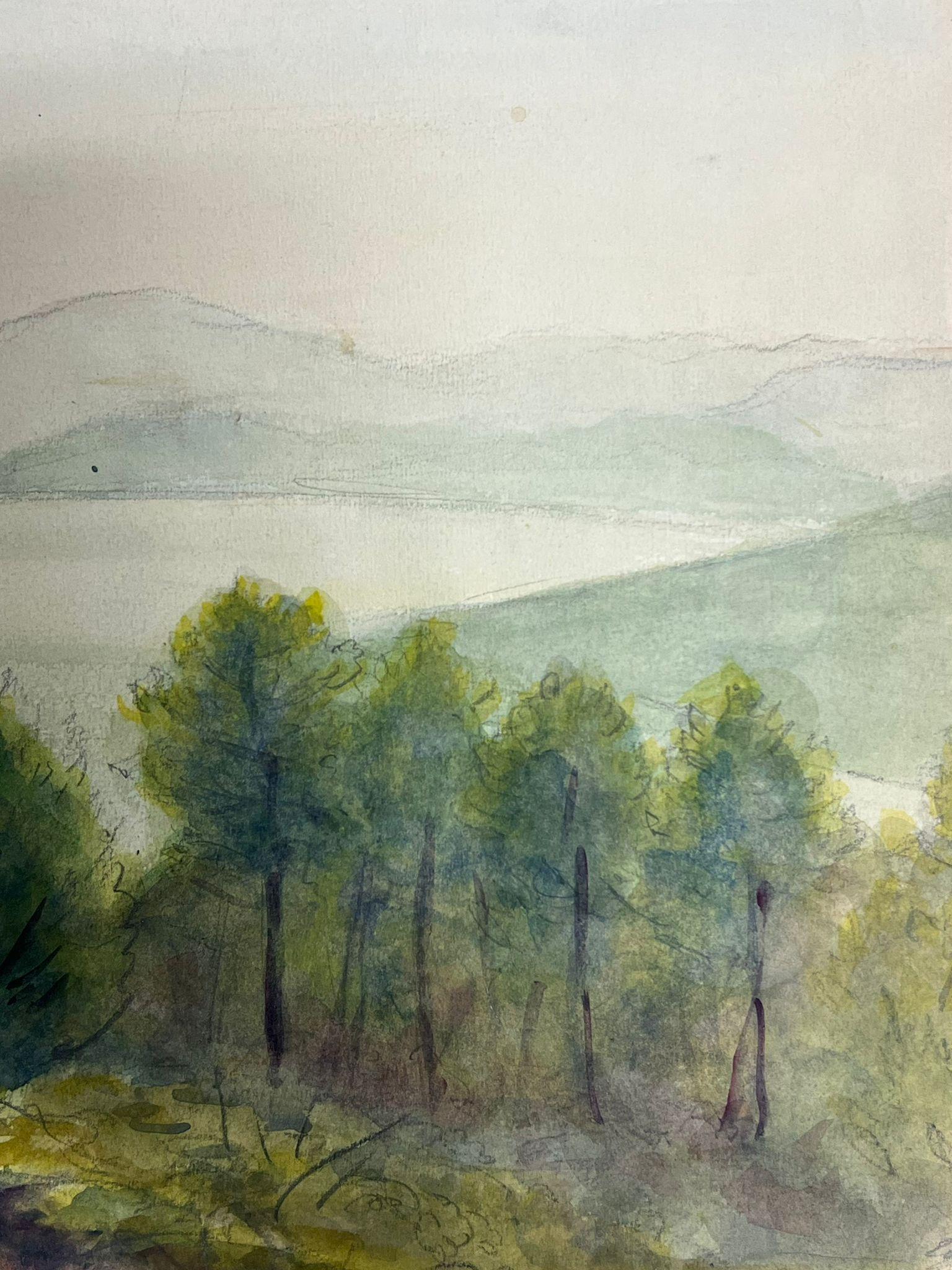 Landscape with a Dense Grove of Evergreen Trees Overlooking Misty Hills For Sale 1