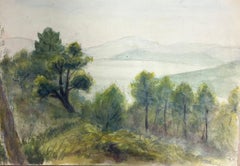Landscape with a Dense Grove of Evergreen Trees Overlooking Misty Hills