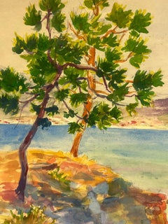 Mediterranean Coastline with Pine Tree and Sailboat St Tropez Landscape