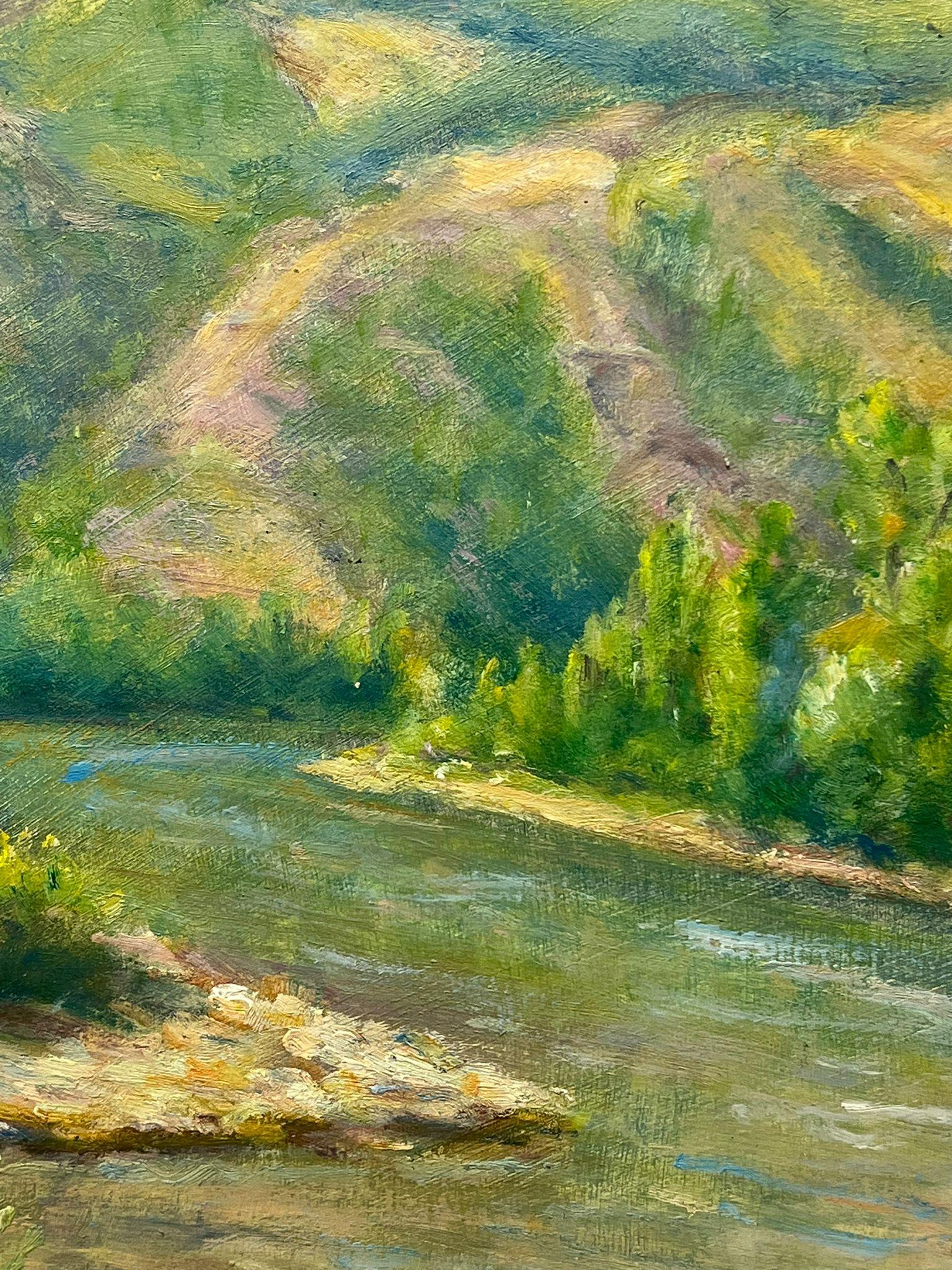 Mediados del siglo XX, década de 1950, óleo francés postimpresionista Paisaje del desfiladero del río Green - Painting Posimpresionista de Regine David
