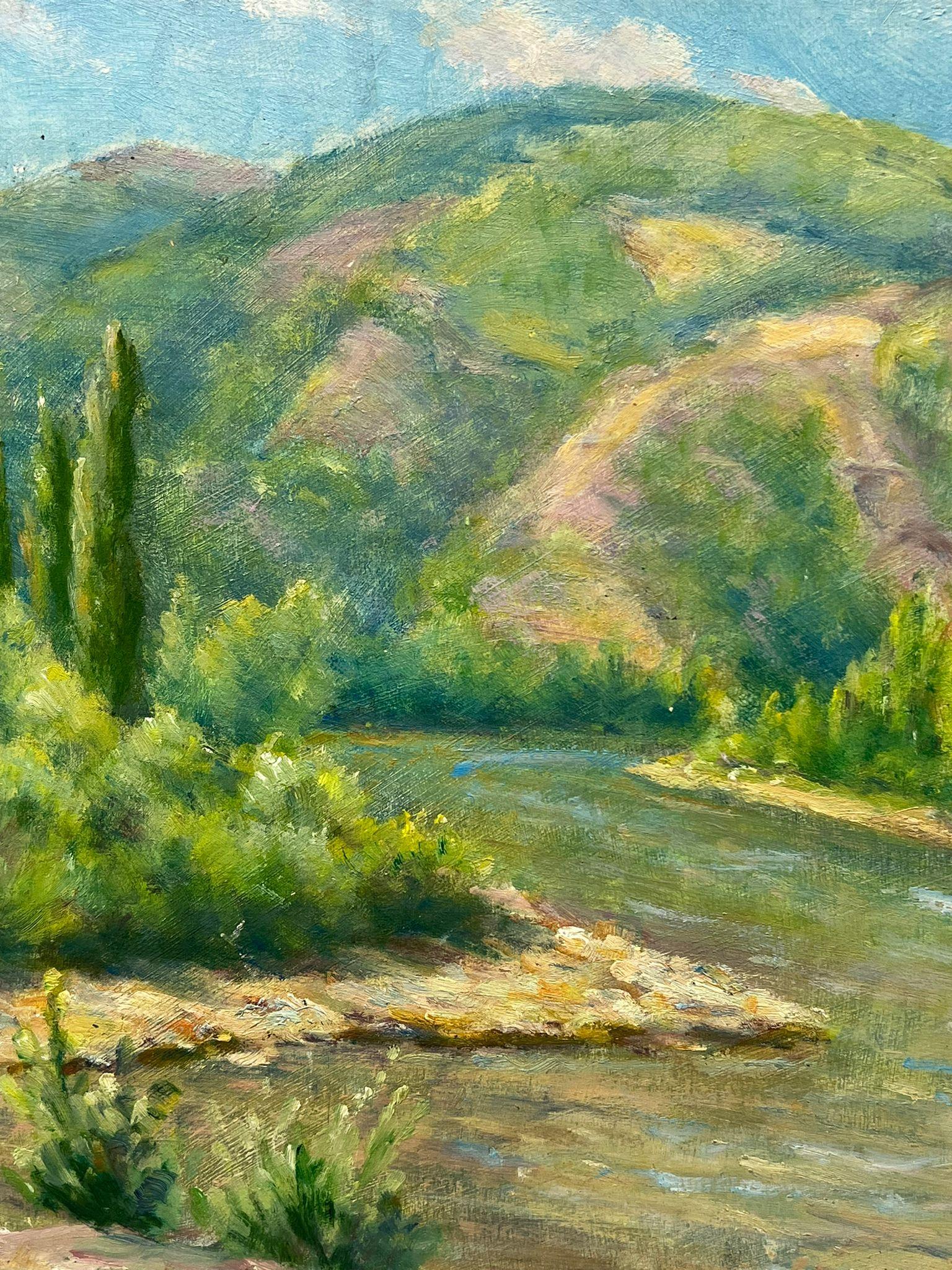 Mediados del siglo XX, década de 1950, óleo francés postimpresionista Paisaje del desfiladero del río Green en venta 1