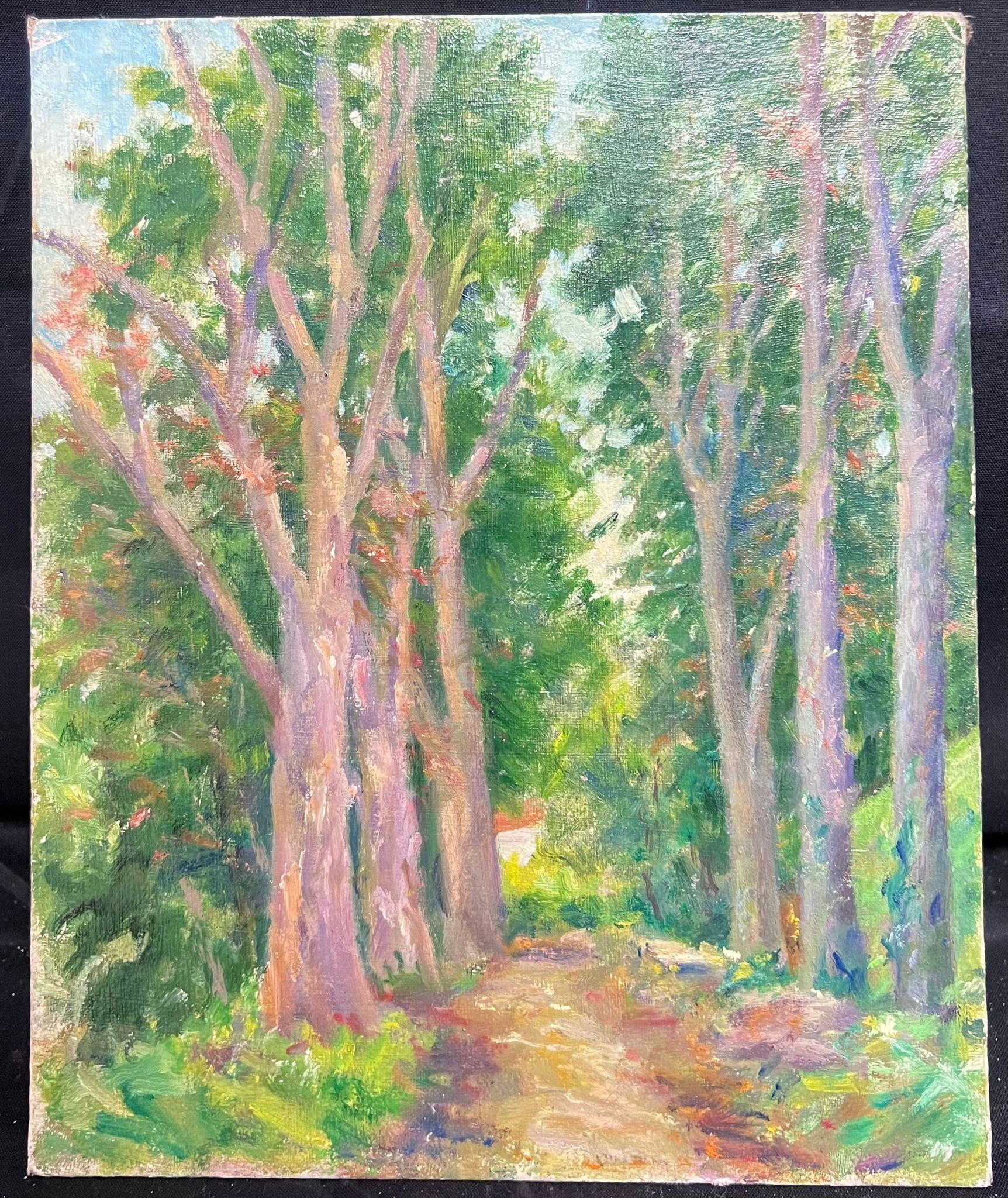 Mitte des 20. Jahrhunderts 1950er Jahre Französisch Post-Impressionist Öl Woodland Avenue Bäume (Braun), Landscape Painting, von Regine David