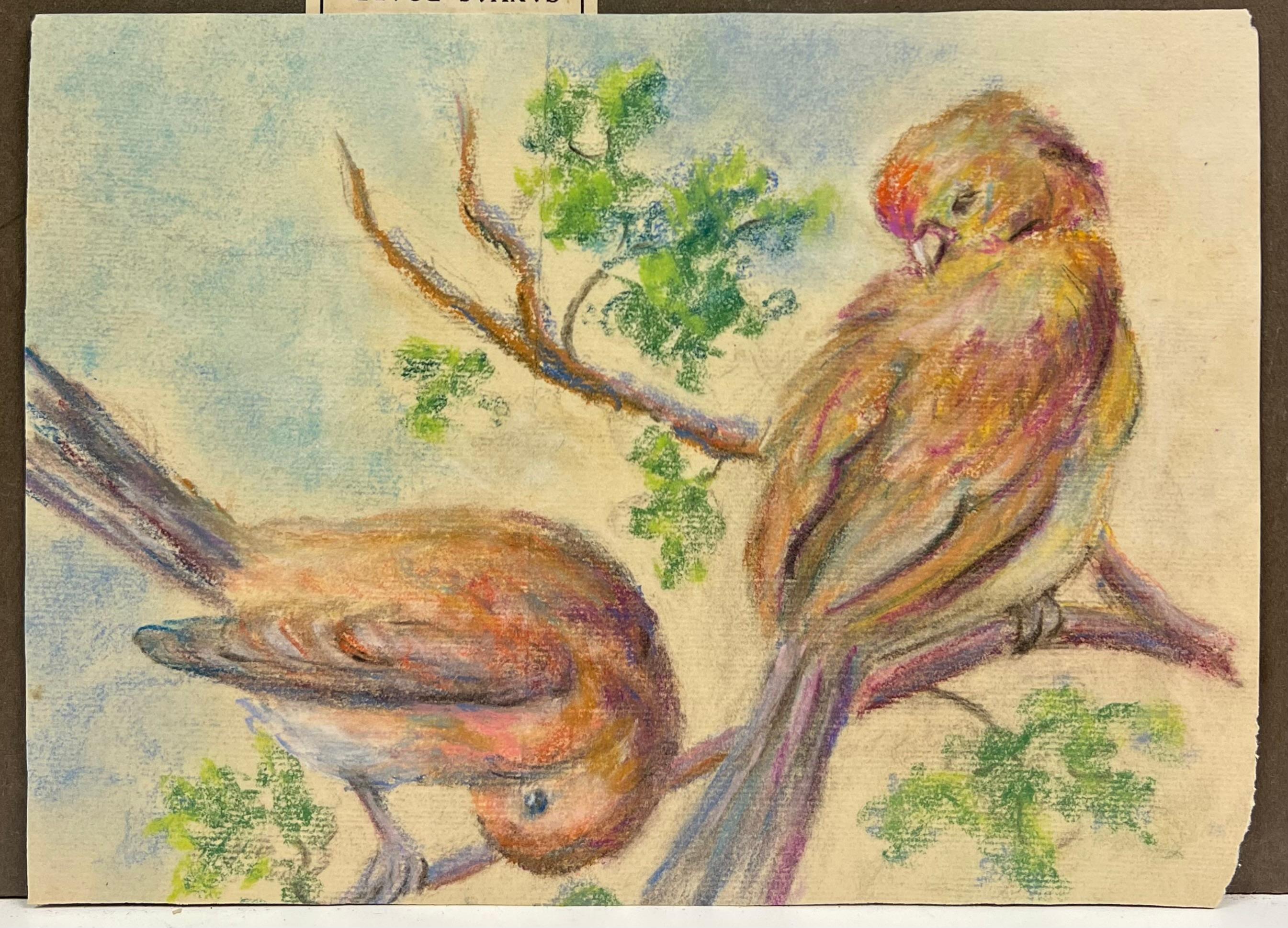 Mid 20th Century A Pastel Study of Two Birds in Springtime - Painting by Regine David