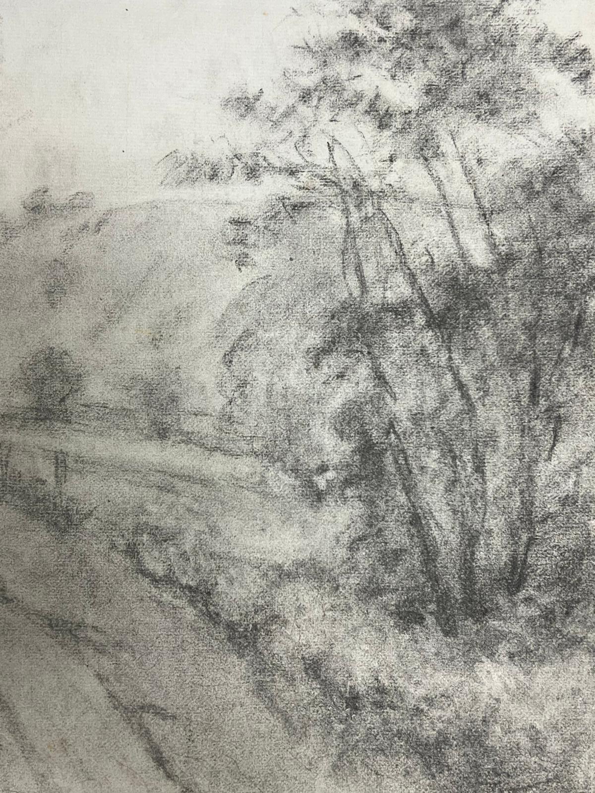 Route de campagne brumeuse à travers les bois Paysage atmosphérique au fusain - Post-impressionnisme Painting par Regine David