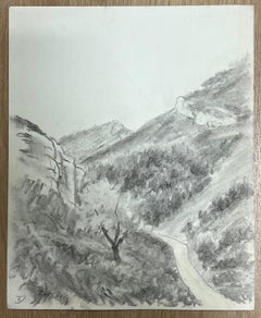 Mountainous Landschaft mit gewundener Schleppe, atmosphärische schwarz-weiße Zeichnung