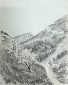 Paesaggio montano con sentiero tortuoso Disegno atmosferico in bianco e nero