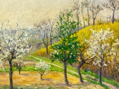Árboles en flor en un huerto primaveral, un paisaje pastoral en plena floración