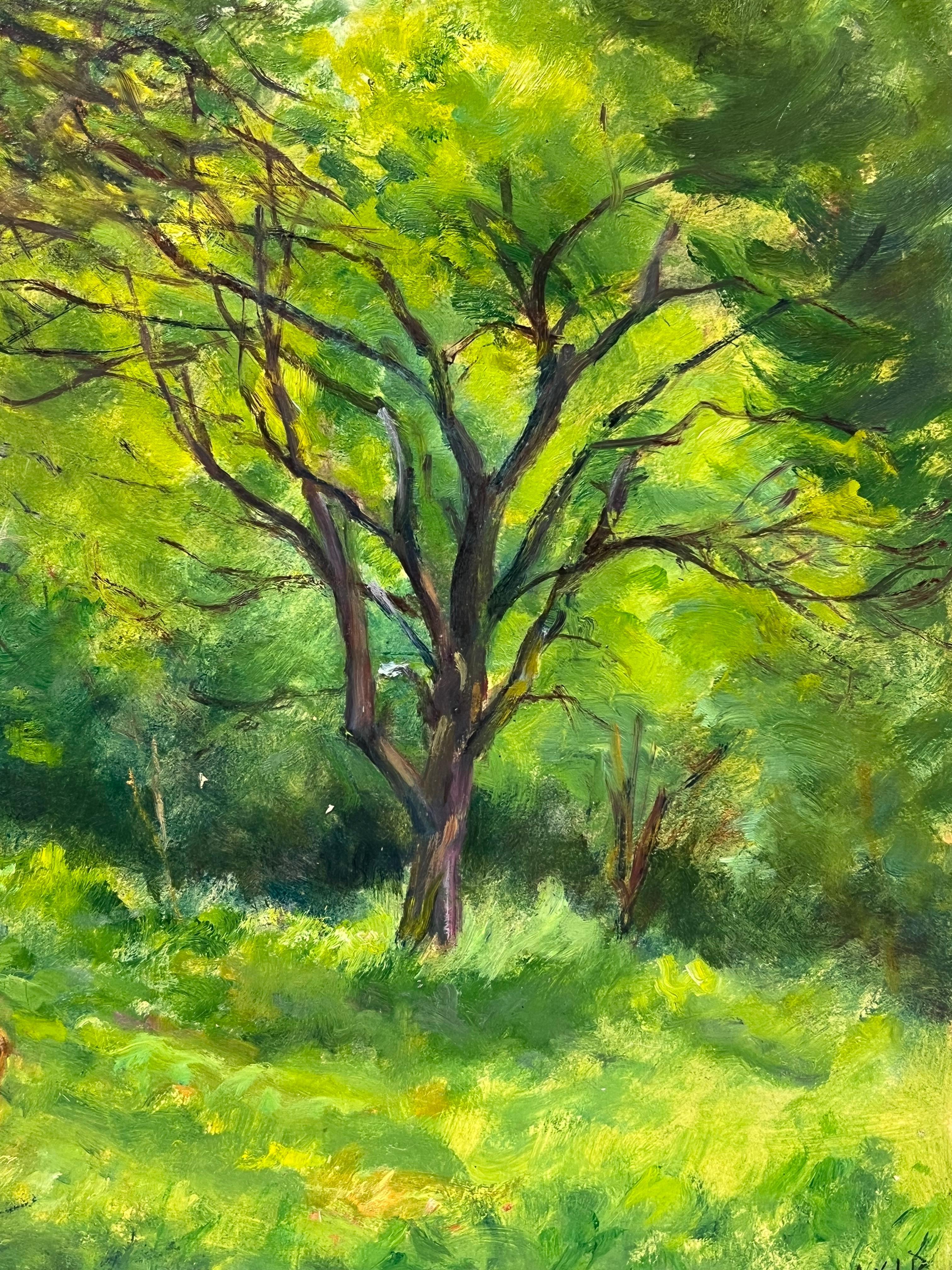 Pacífica escena de bosque con ciervos pastando entre árboles verdes Paisaje forestal en venta 1