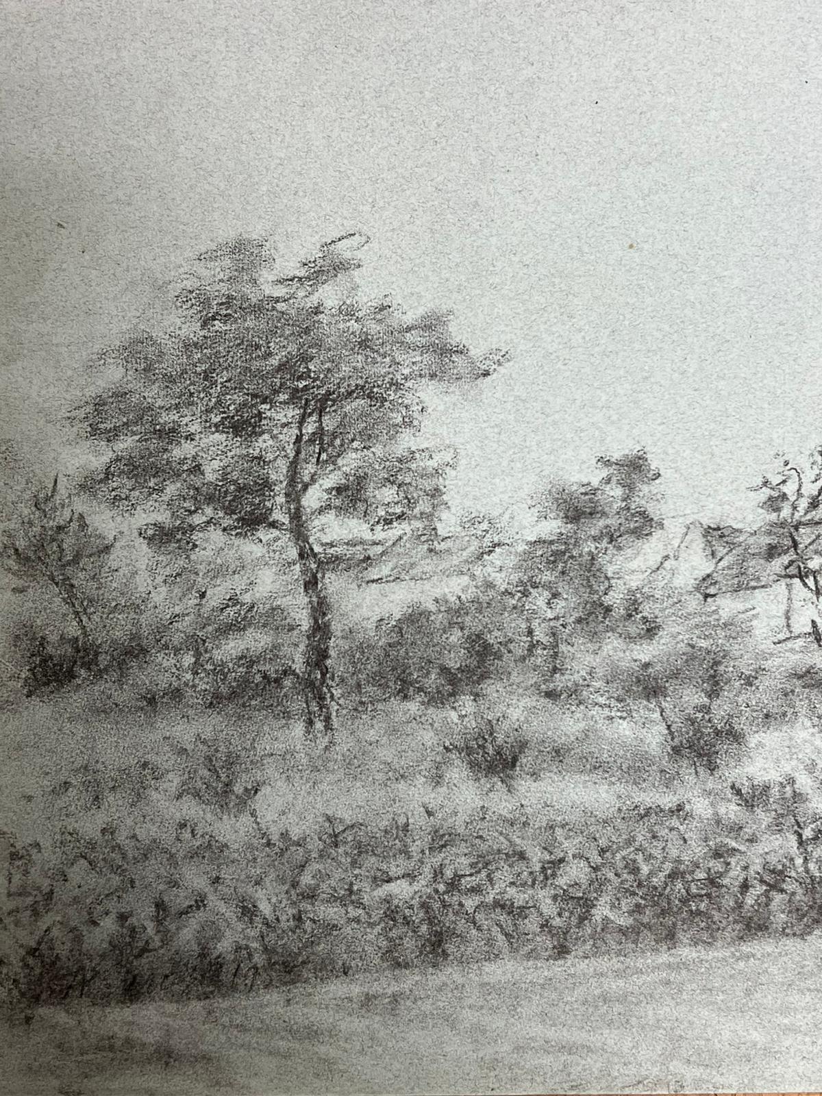 Quiet Countryside Scene with Trees and Distant Cottage Serene Charcoal Drawing - Post-Impressionist Painting by Regine David