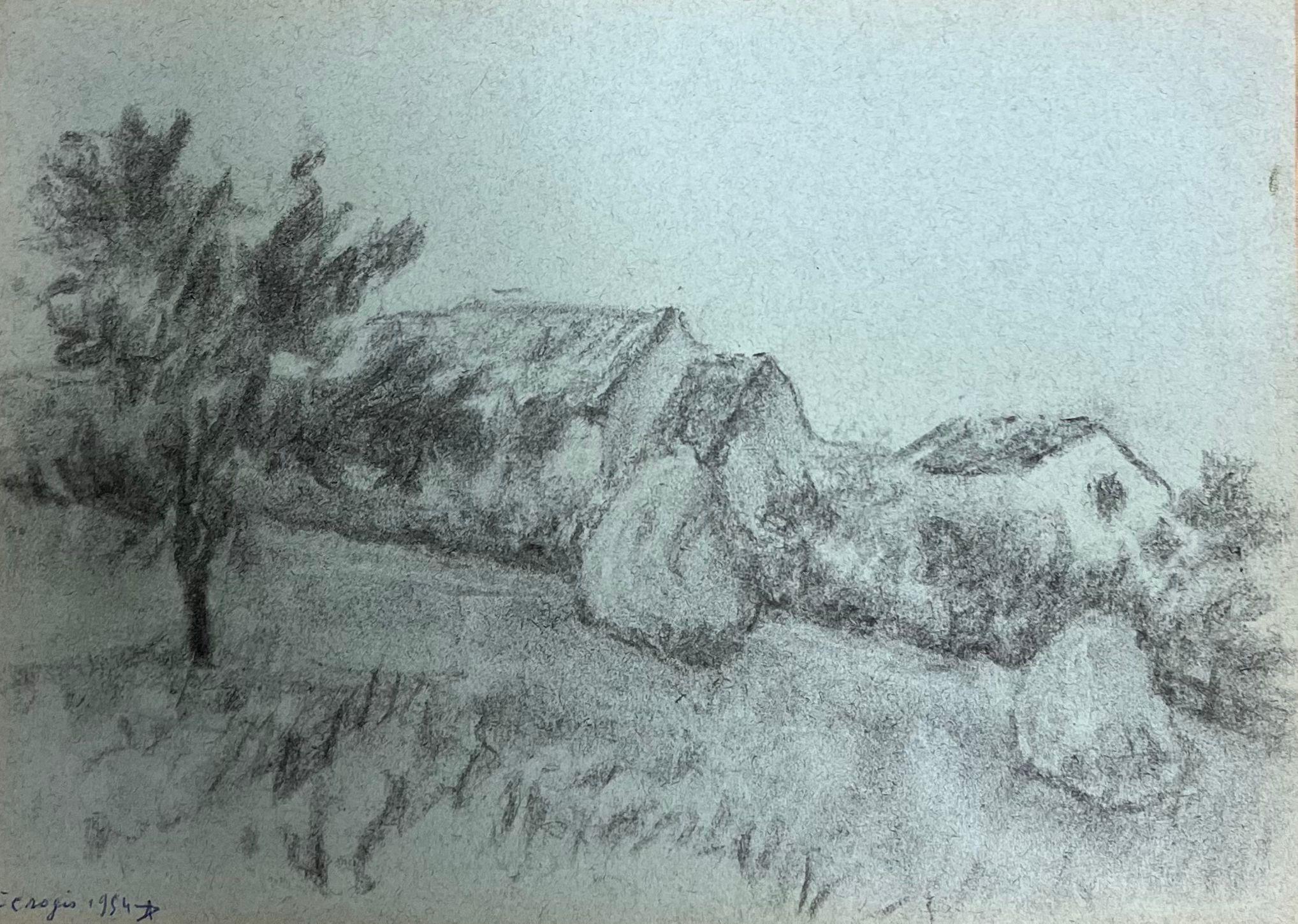 Escena rústica de granero y árboles con un encantador paisaje rural francés
