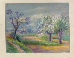 El despertar de la primavera Árboles en flor bajo un cielo sombrío en un paisaje pastel