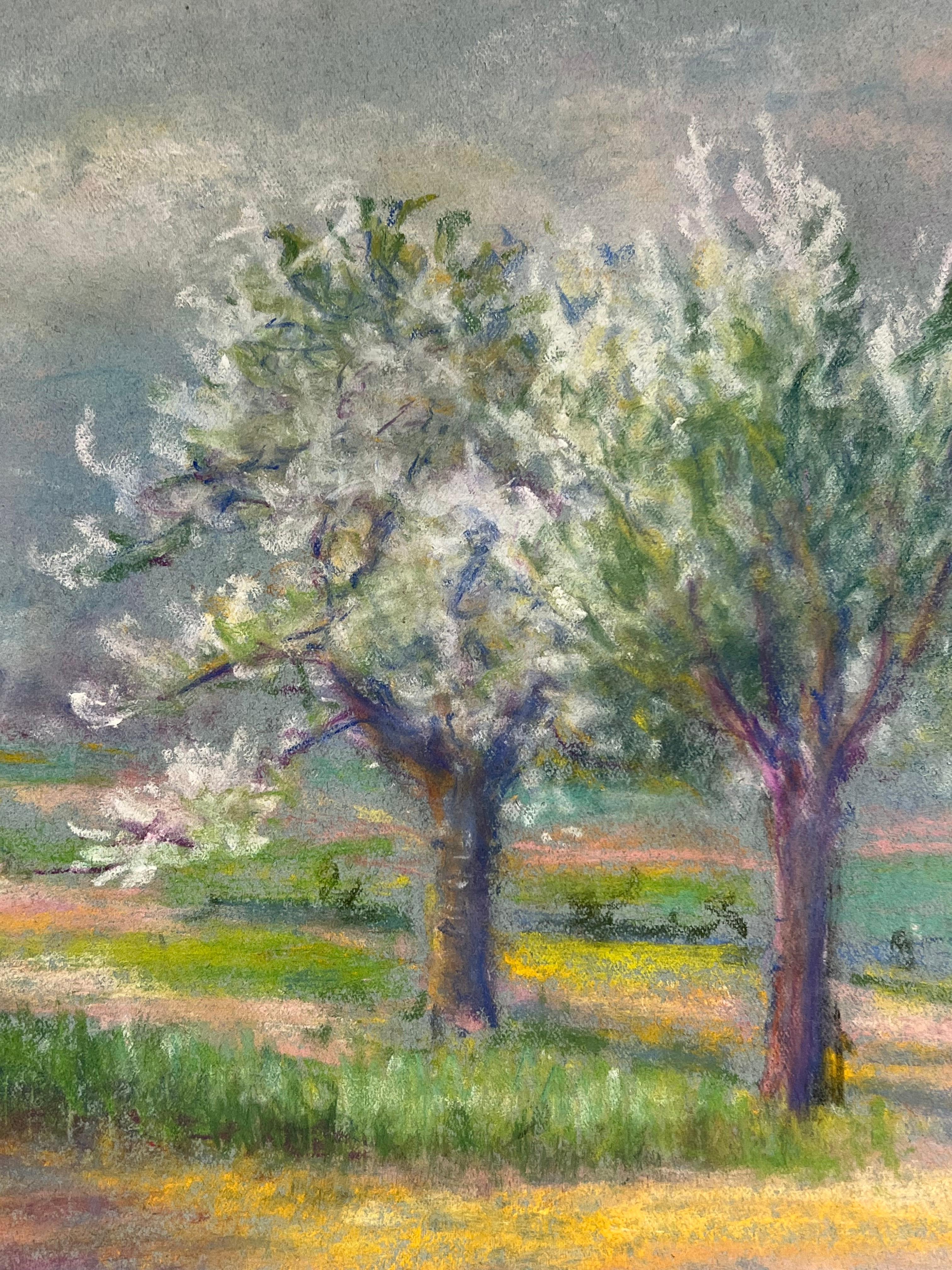El despertar de la primavera Árboles en flor bajo un cielo sombrío en un paisaje pastel en venta 1