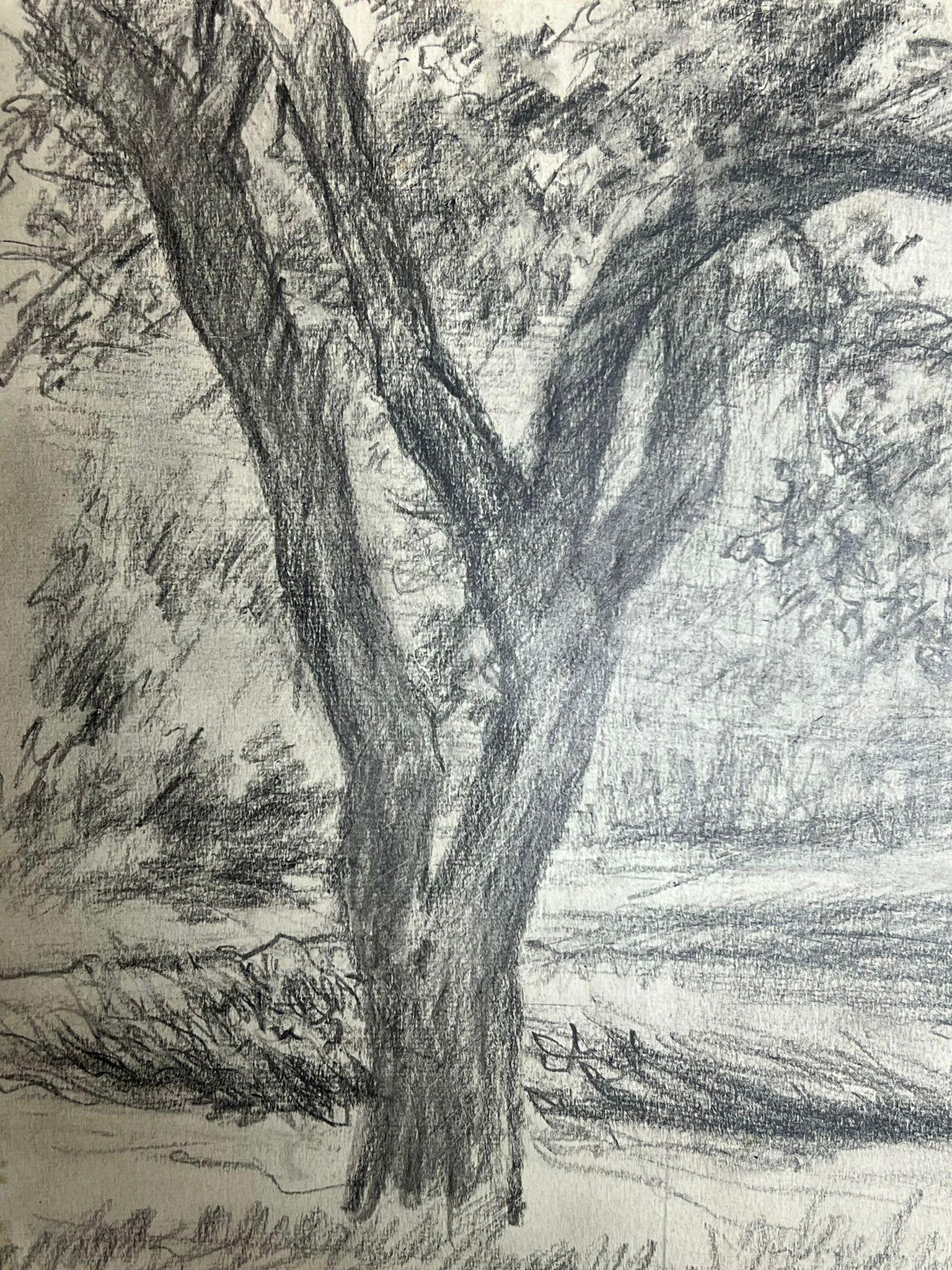 Study of a Tree in a Peaceful Meadow mit Zweigen, die Landschaft aus Streben heraus Streben (Post-Impressionismus), Painting, von Regine David