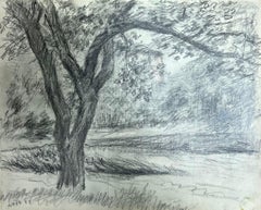 Studio di un albero in un prato tranquillo con i Branch che si estendono nel paesaggio