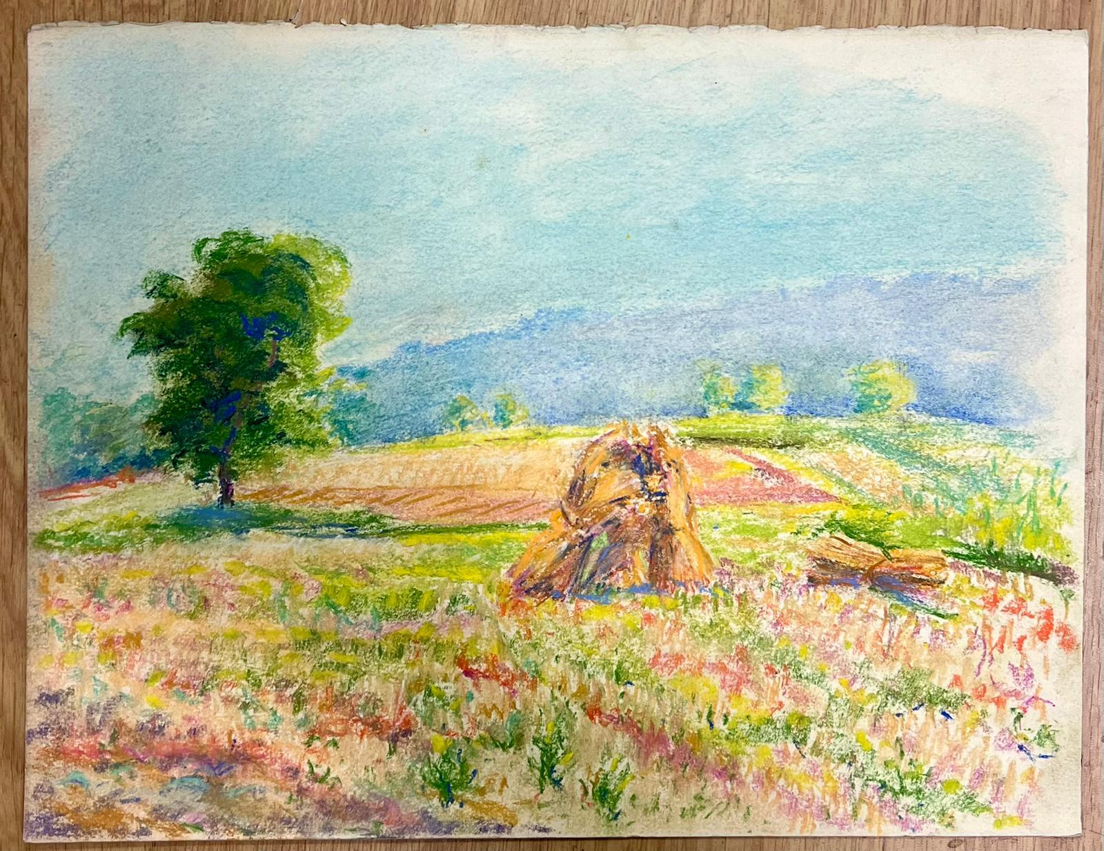 Vibrante scena pastorale con pagliaio e prato in fiore Pastello colorato - Painting di Regine David