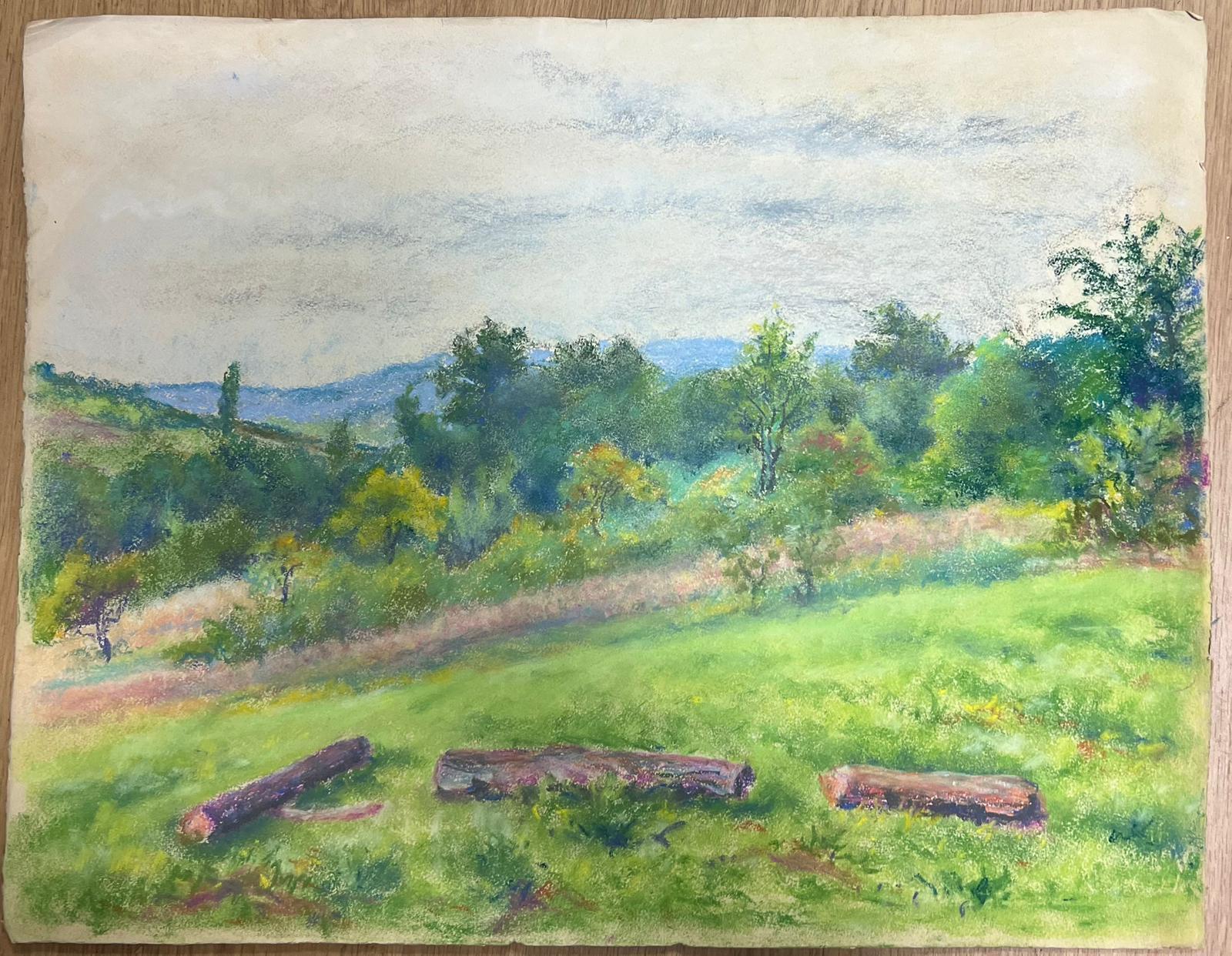 Vintage Landscape with Rolling Hills Countryside with Vibrant Green Meadow For Sale 1