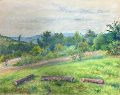 Paesaggio d'epoca con Roll & Hill Campagna con prato verde vibrante