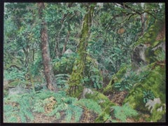 Sous bois, Fontainebleau, 2013