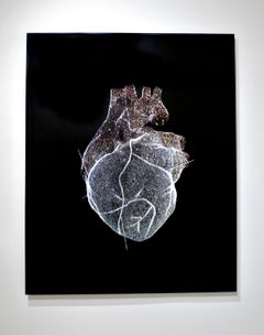 Glass Model of a Heart, love