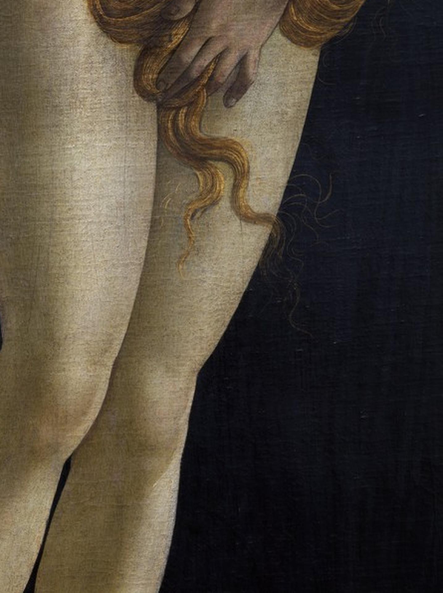 venus de milo botticelli