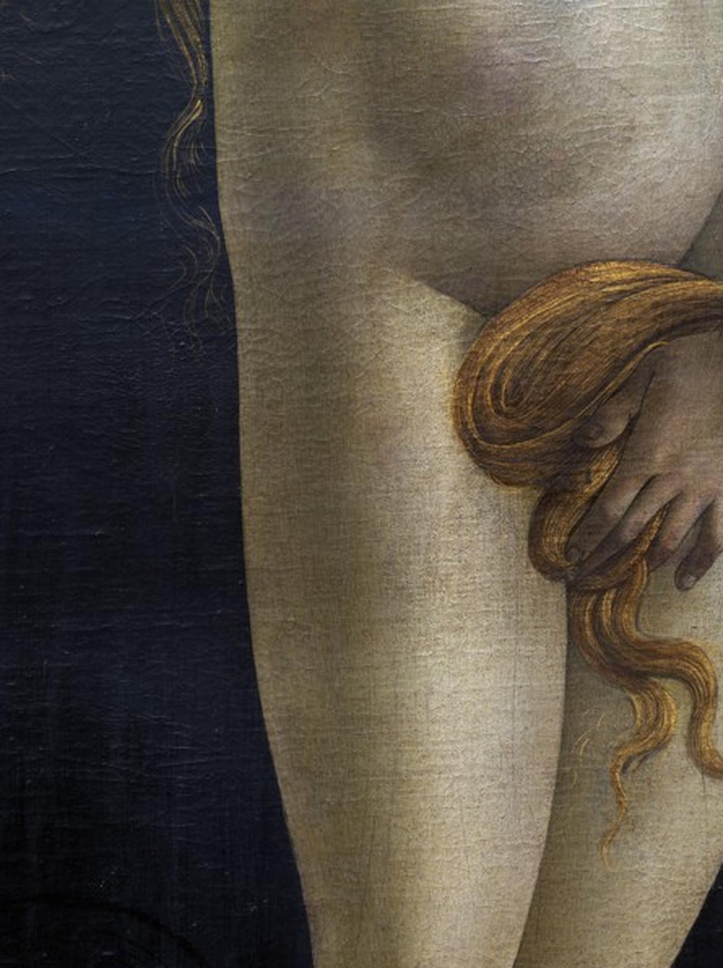 Venus (detail), Sandro Botticelli Workshop, Painting Gallery, Berlin, Photograph - Black Figurative Photograph by Reinhard Görner