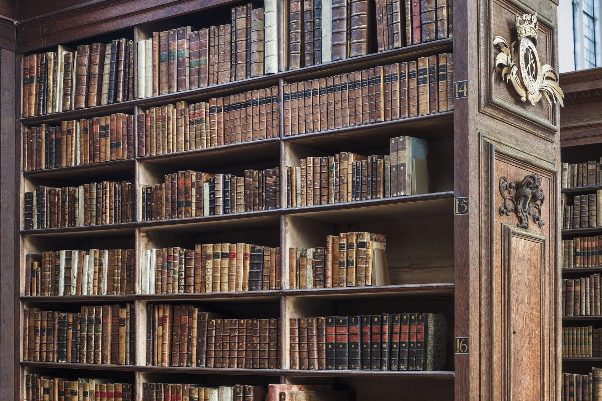 Isaac Newton, Cambridge, Bibliothek des Trinity College (Konzeptionell), Photograph, von Reinhard Görner