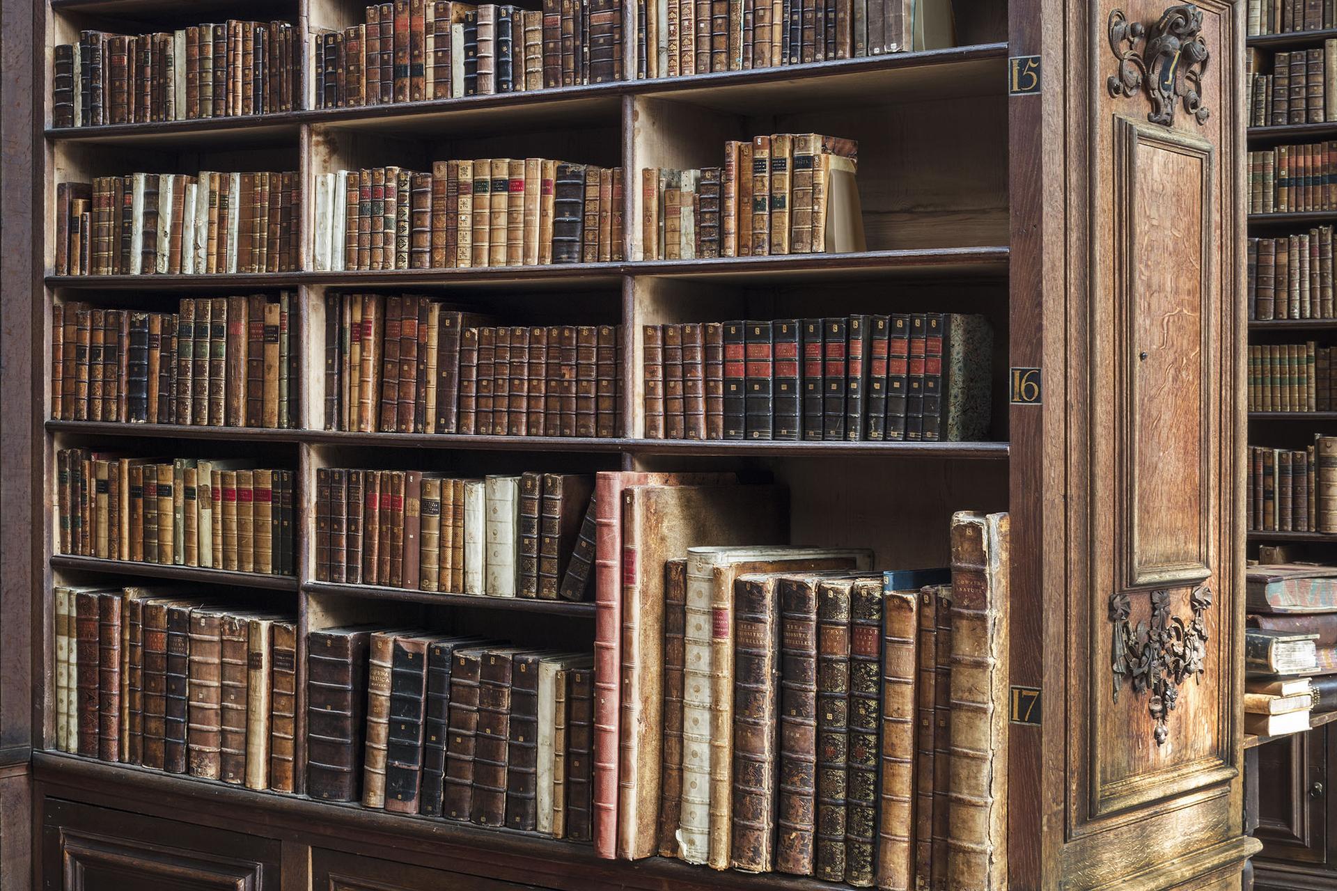 Isaac Newton, Cambridge, Bibliothek des Trinity College (Schwarz), Landscape Photograph, von Reinhard Görner