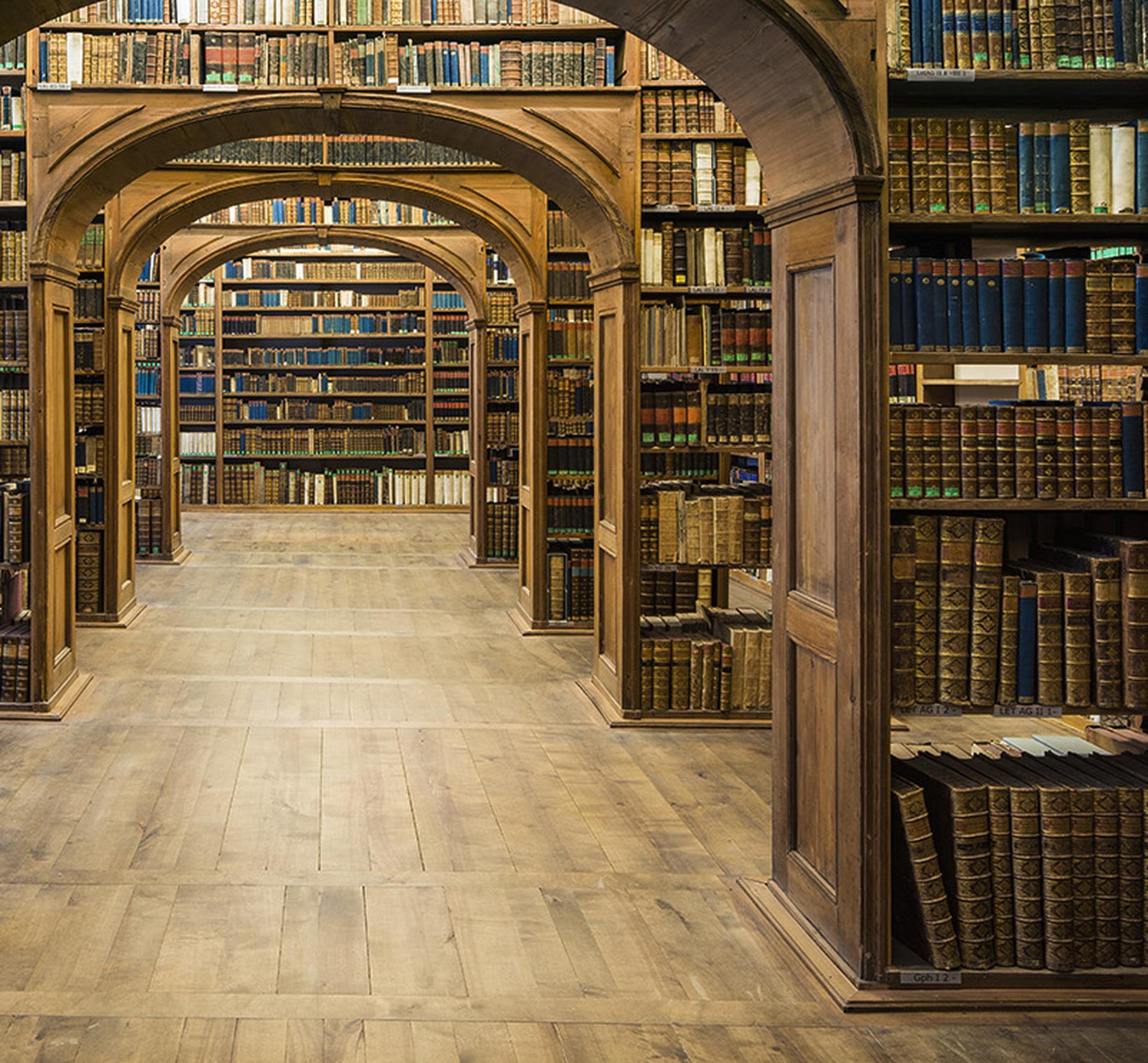 Bibliothekssaal, Oberlausitzische Bibliothek der Wissenschaften, Görlitz Deutschland, Architektur (Braun), Landscape Photograph, von Reinhard Görner