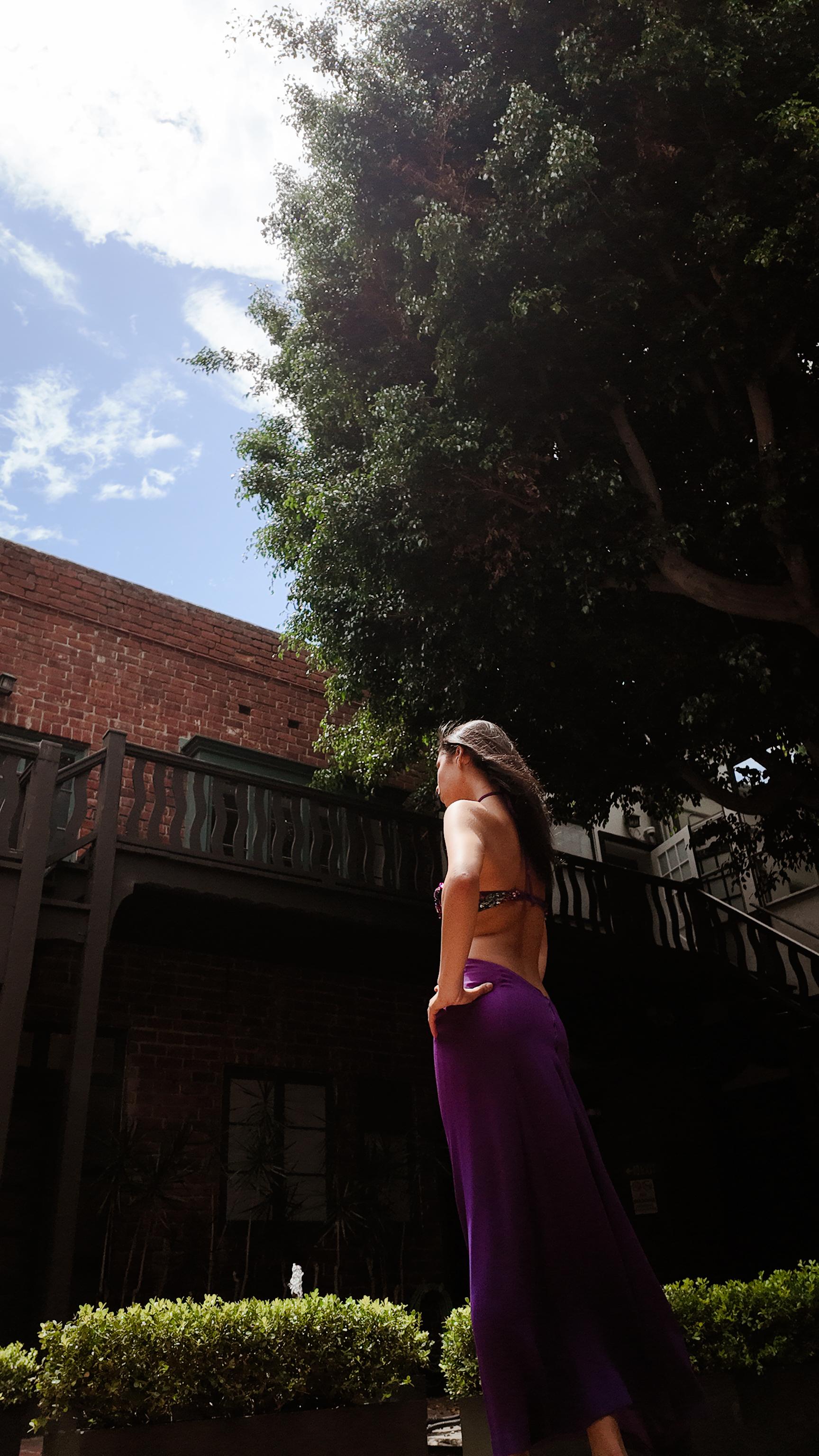 Reinhard Luthier Custom Purple 1970's Backless Sequin Dress en vente 9
