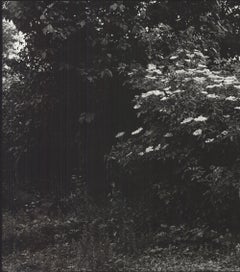 Kasse beim Fahrer Exhibition Poster, Offset Print, Contemporary, 1987