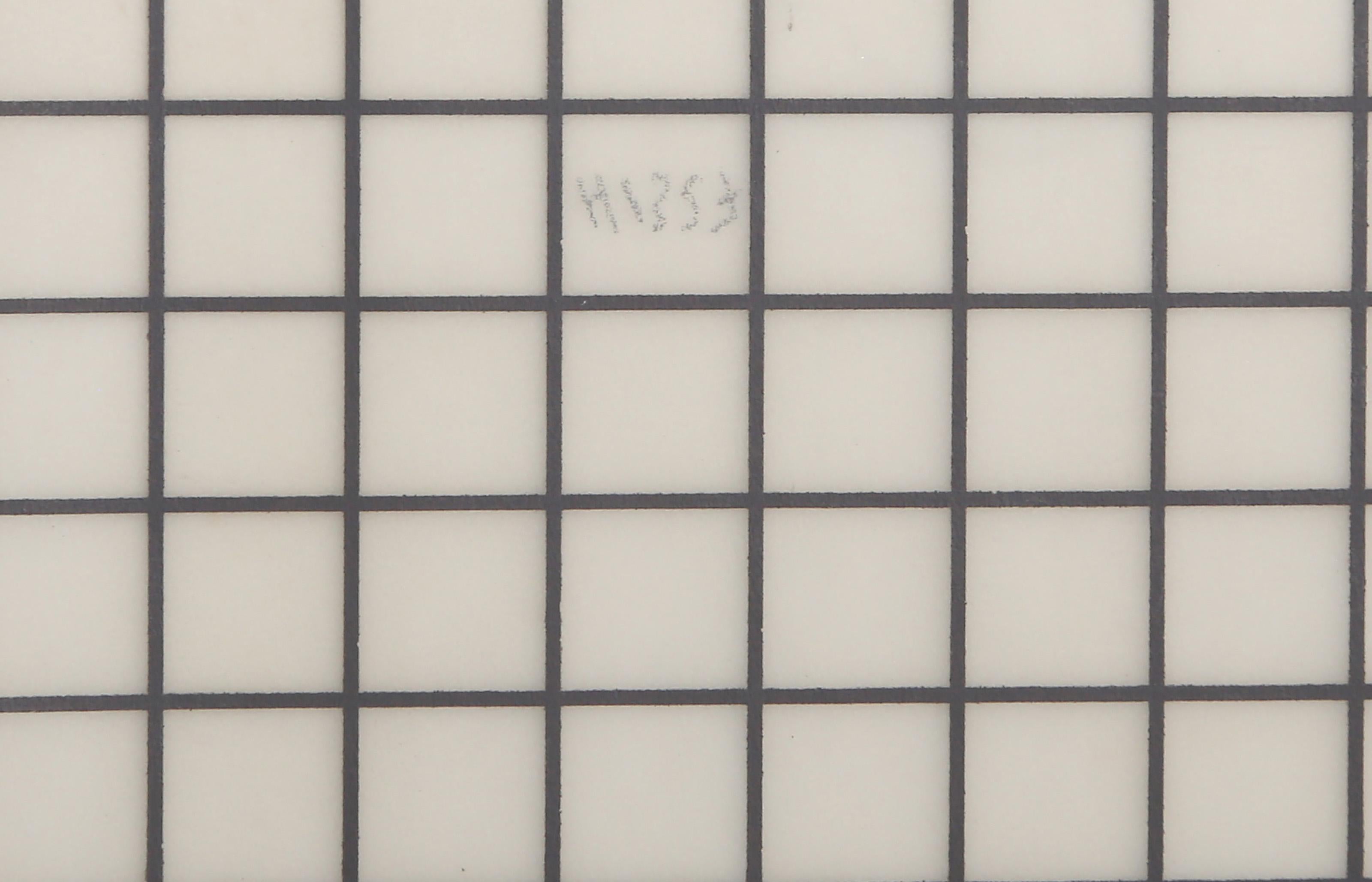 Ina, Pop Art Screenprint on wax based graph paper by Reinhard Voigt For Sale 1